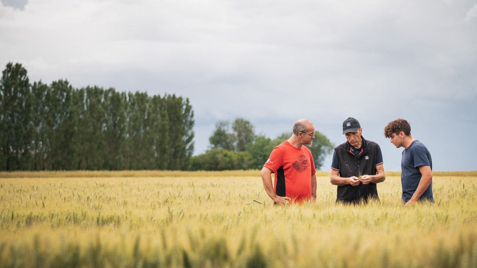 Agricoltori nel campo