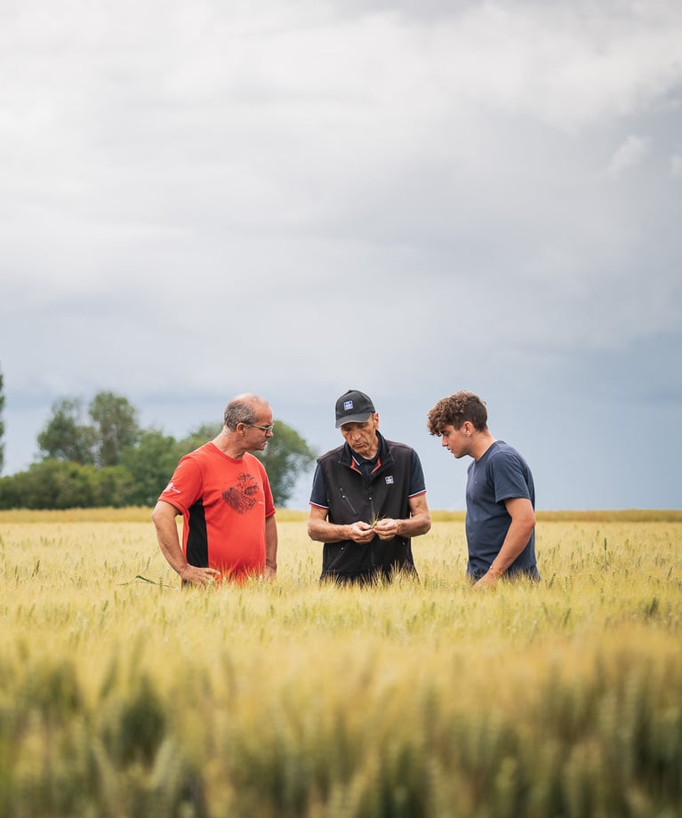 Agricoltori nel campo