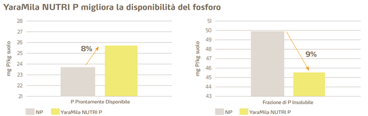 come YaraMila NUTRI P migliora la disponibilità del Fosforo