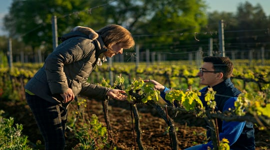 Yara acquisisce Agribios Italiana