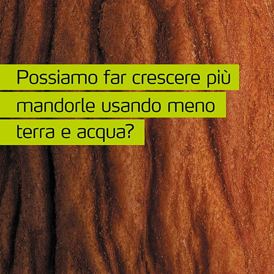 MyAlmonds - Coltivare più mandorle con meno terra e acqua