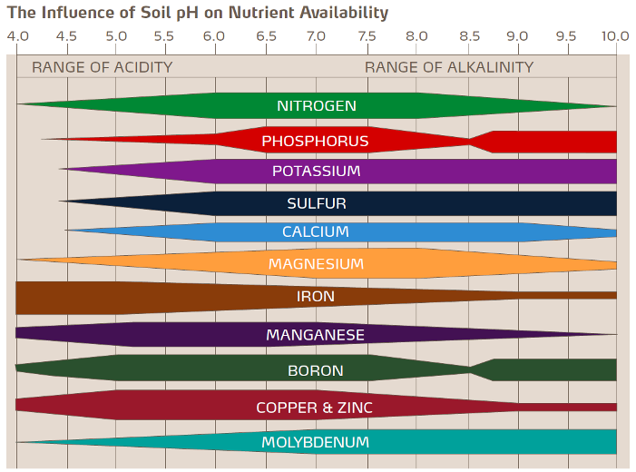 influenza del Ph del suolo sulla disponibilità di nutrienti