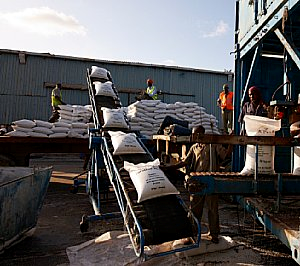 nastri trasportatori di sacchi
