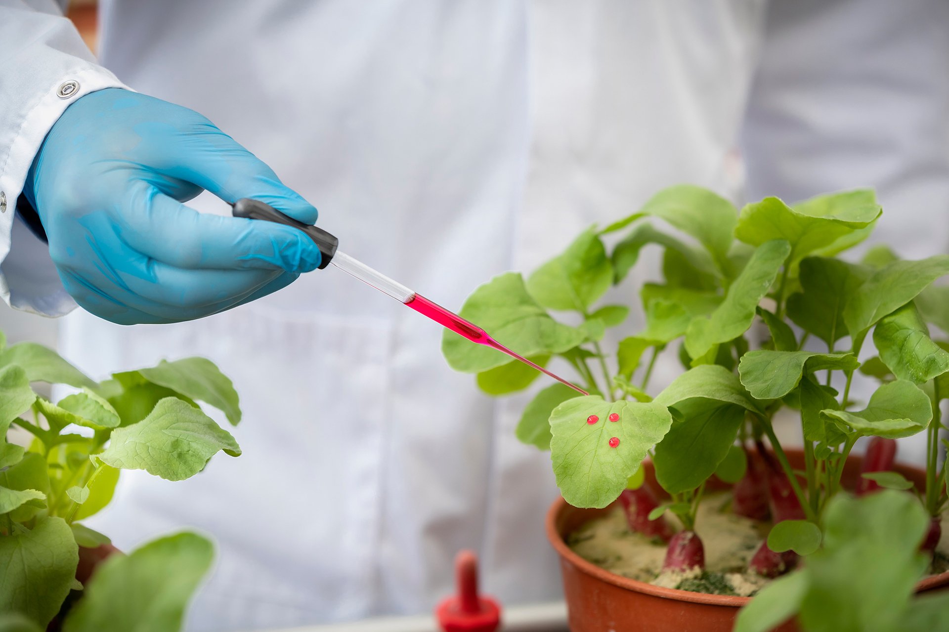 l'importanza degli agenti co-formulanti