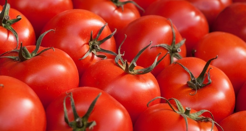 Pomodoro da industria