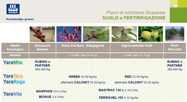 piano di concimazione al suolo e in fertirrigazione delle drupacee