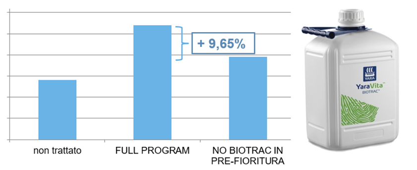 rachide uva più lungo.png