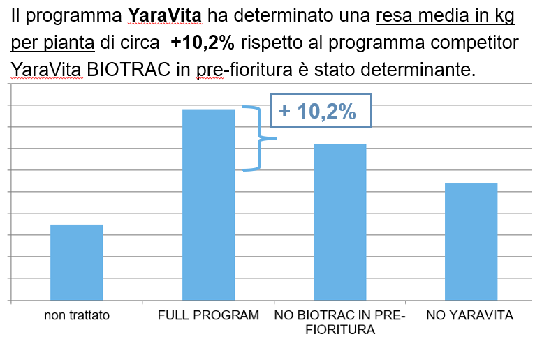 resa finale uva maggiore.png