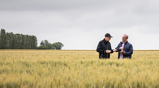 Metti al riparo i tuoi profitti