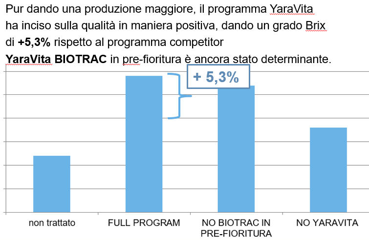 qualità finale uva maggiore.png