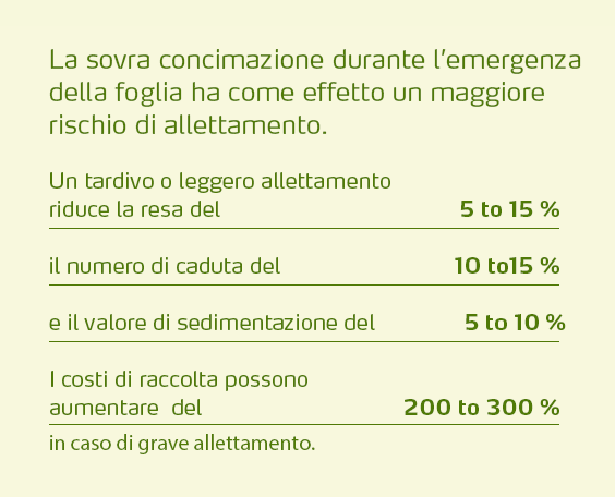 crop-performance-reduce-lodging-copy-1-ita.png