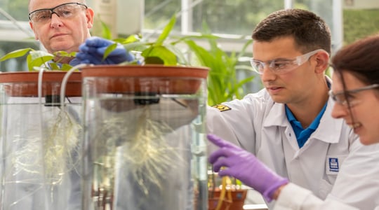 scopri concimi fogliari e biostimolanti YaraVita