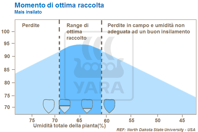 momento di ottima raccolta