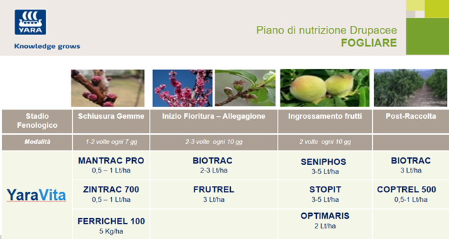 piano di concimazione fogliare delle drupacee