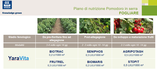 programma di concimazione fogliare del pomodoro in serra