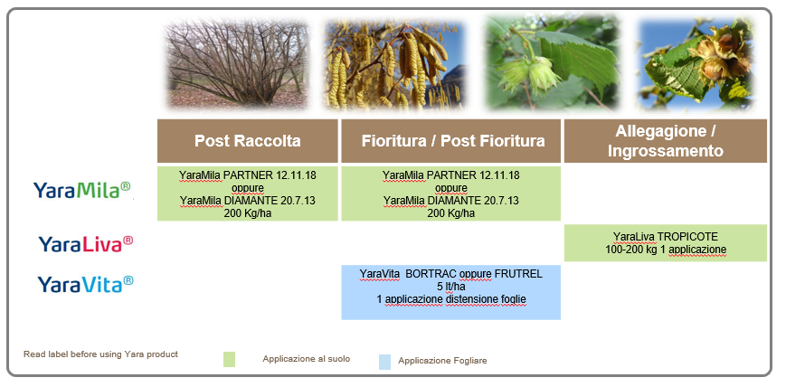 piano concimazione nocciolo.png