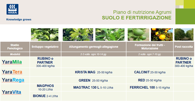 piano di concimazione al suolo e fertirrigazione per gli Agrumi - 