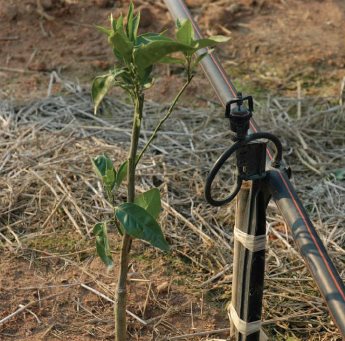 impianto di irrigazione