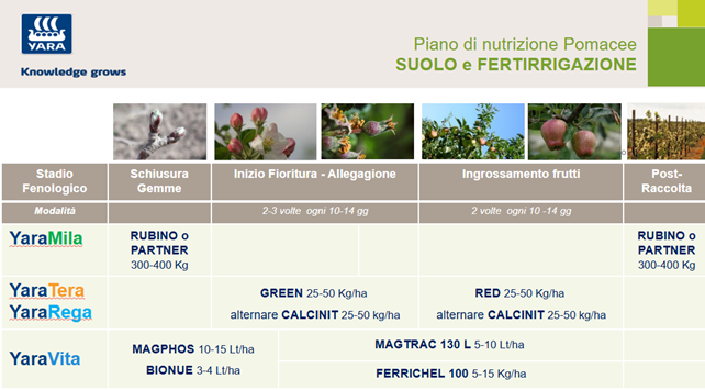 piano di concimazione al suolo e in fertirrigazione delle pomacee