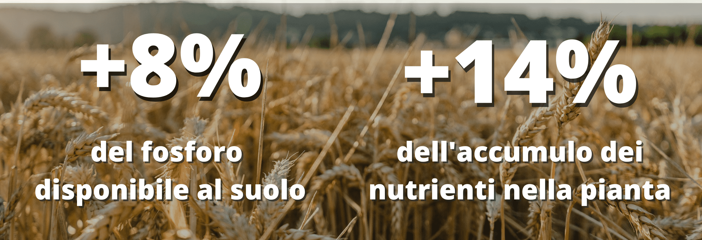 YaraMila NUTRI assicura molti vantaggi per una concimazione più efficiente