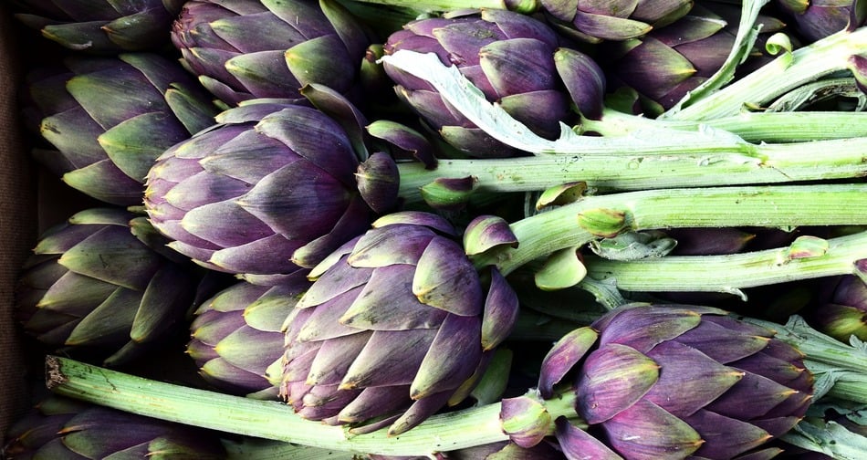 YaraRega VIOLET su carciofo